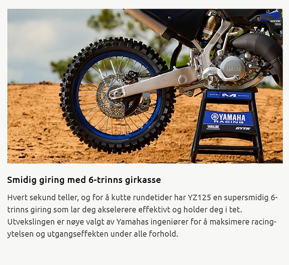 Yamaha YZ 125LC Monster Edition 20 of 24