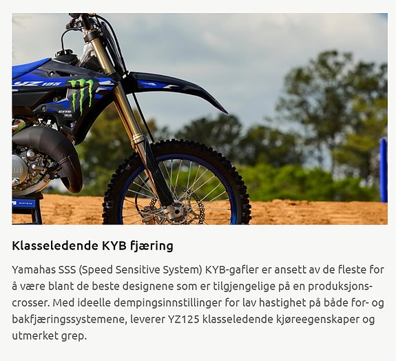 Yamaha YZ 125LC Monster Edition 22 of 24