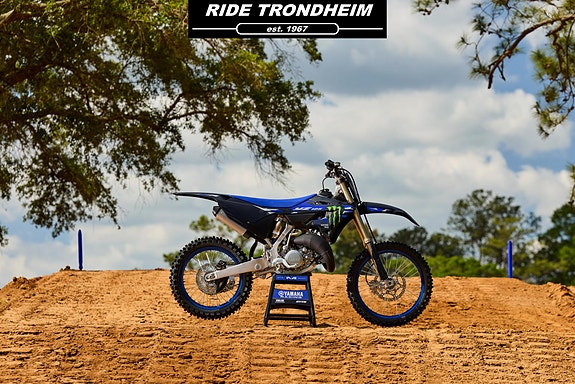 Yamaha YZ 125LC Monster Edition 2 of 24