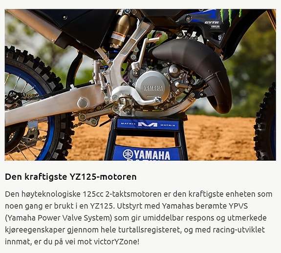Yamaha YZ 125LC Monster Edition 17 of 24