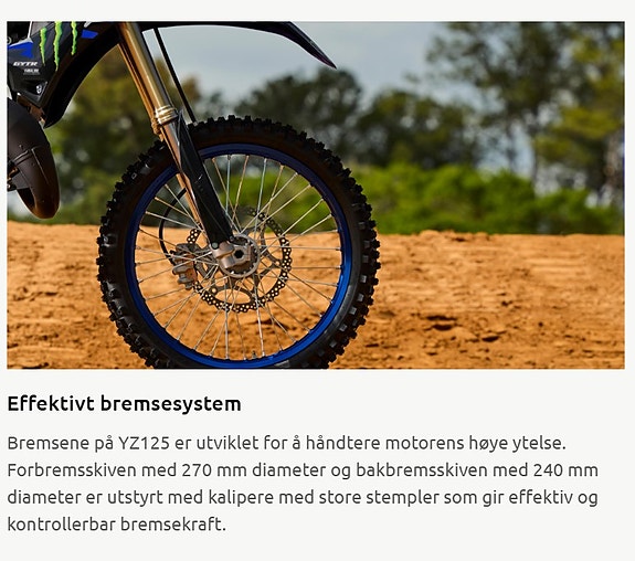 Yamaha YZ 125LC Monster Edition 23 of 24