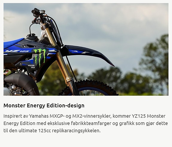 Yamaha YZ 125LC Monster Edition 16 of 24