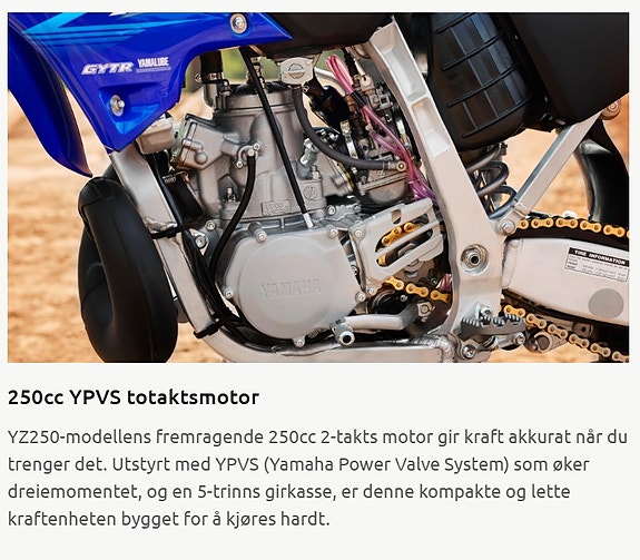 Yamaha YZ  250LC Monster Edition 19 of 19