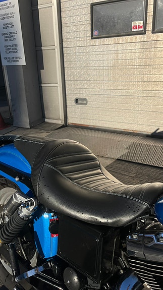 Harley-Davidson FXDL Dyna Low Rider 18 of 22