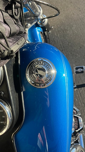 Harley-Davidson FXDL Dyna Low Rider 10 of 22