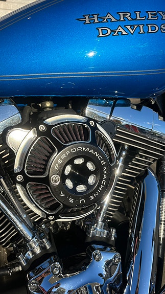 Harley-Davidson FXDL Dyna Low Rider 19 of 22