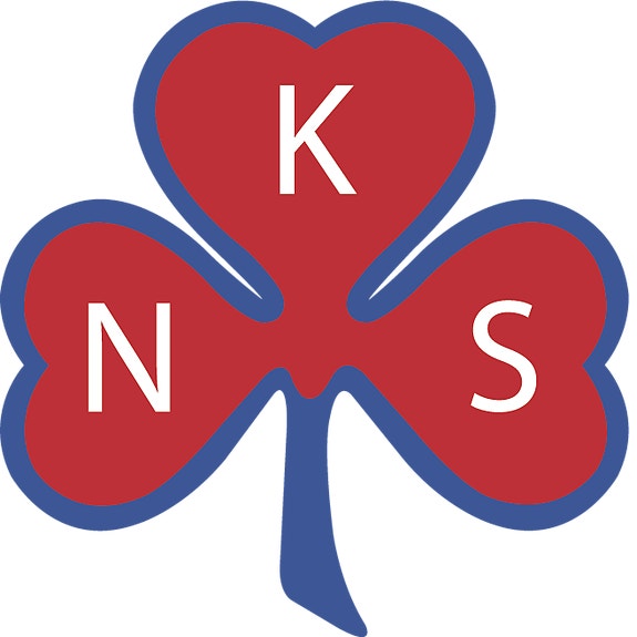 Voss DPS NKS Bjørkeli AS logo