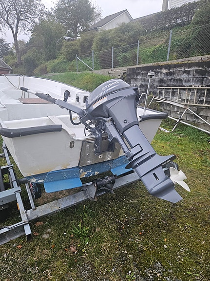 Yamaha F9.9JMH 7 of 8