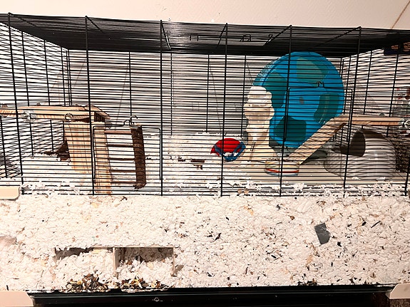Hamsterpakke