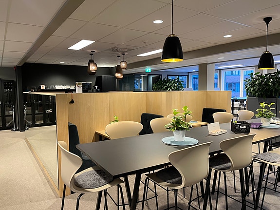 Bilde 2 av 4 i jobbannonse-galleriet