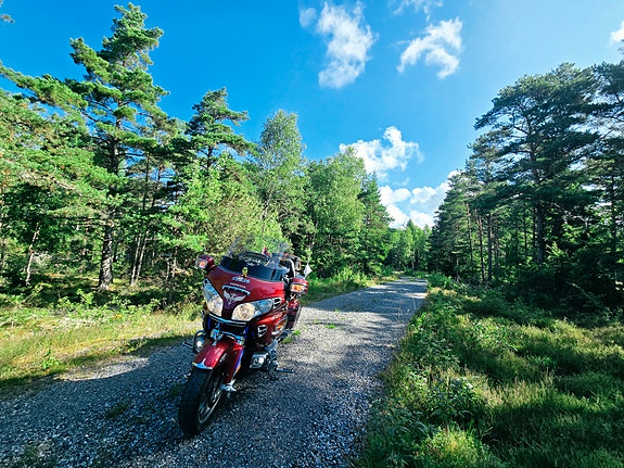 Honda GL 1800 Goldwing 12 of 20