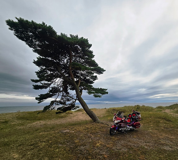Honda GL 1800 Goldwing 18 of 20
