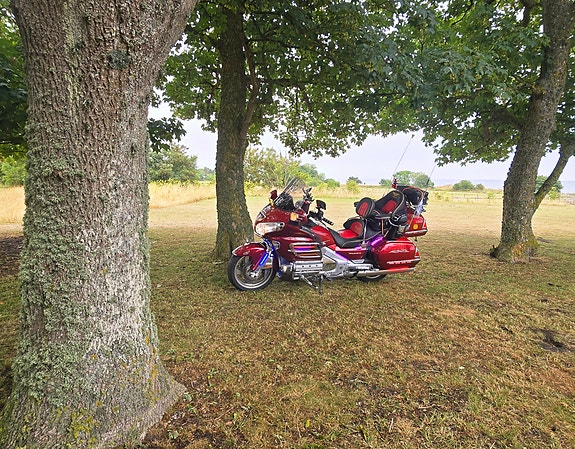 Honda GL 1800 Goldwing 14 of 20