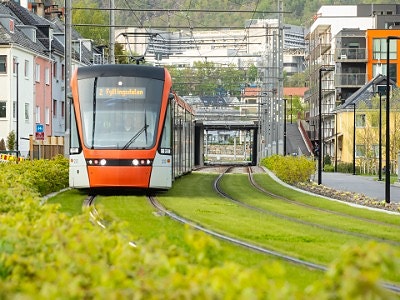 Bilde 1 av 2 i jobbannonse-galleriet