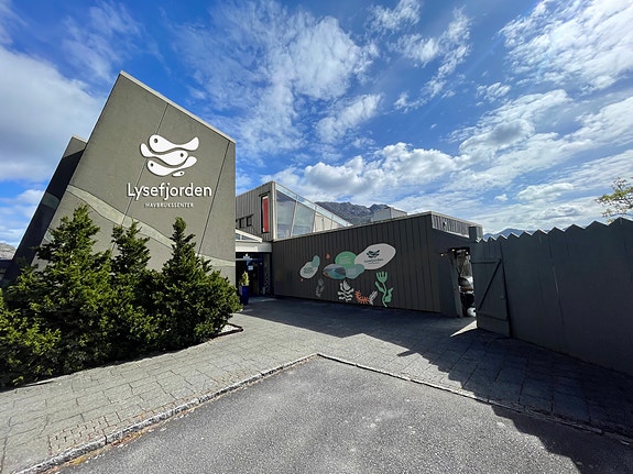 Bilde 2 av 10 i jobbannonse-galleriet