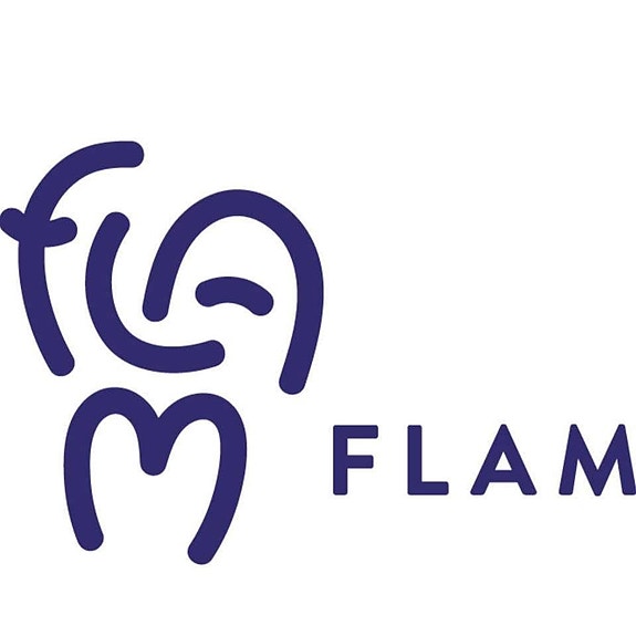 Flam Norge logo
