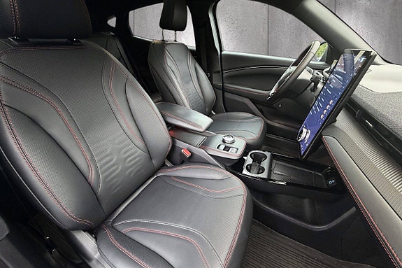 Ford Mustang Mach-E 15 of 24