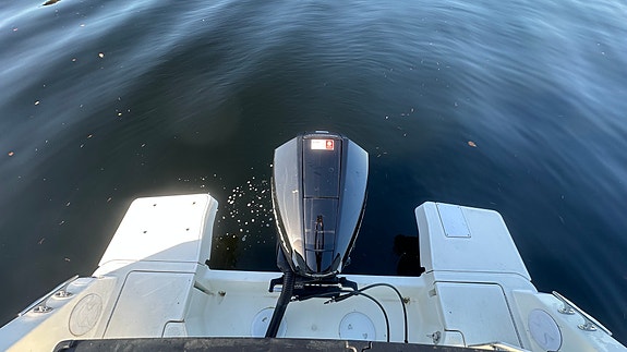 Quicksilver 805 PH Explorer - Baugthruster, varmer, utestyring ++, kun 140 timer 15 of 30