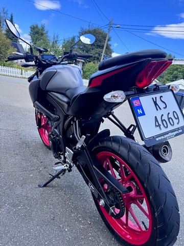 Suzuki GSX-S 125 7 of 8