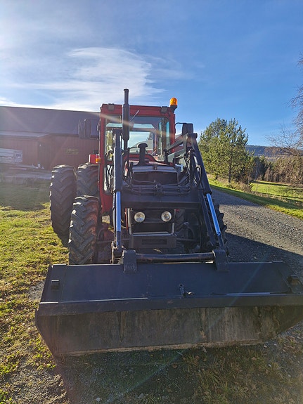 Massey Ferguson 265 6 of 12