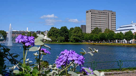 Bilde 1 av 10 i jobbannonse-galleriet