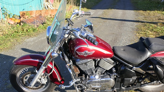 Kawasaki VN 800 11 of 18