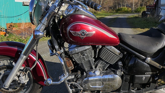Kawasaki VN 800 17 of 18