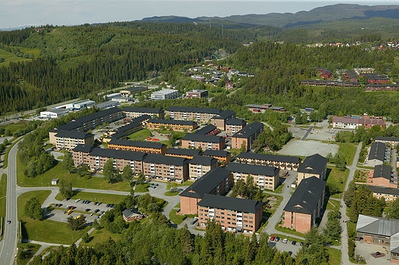 Bilde 1 av 1 i jobbannonse-galleriet