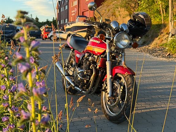Kawasaki ZEPHYR 750 3 of 21