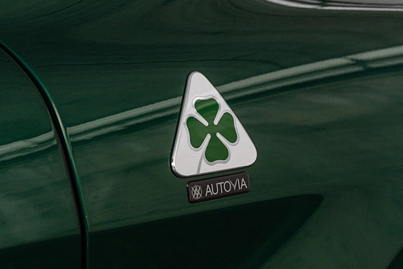 Alfa Romeo Stelvio Quadrifoglio 20 of 30