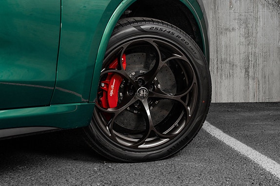 Alfa Romeo Stelvio Quadrifoglio 18 of 30