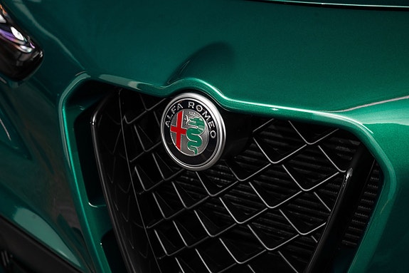 Alfa Romeo Stelvio Quadrifoglio 11 of 30