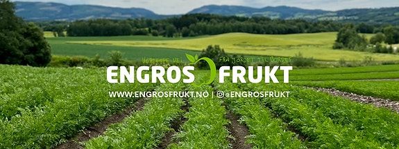 Bilde fra arbeidsgiver
