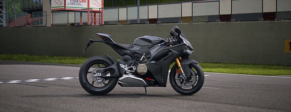 Ducati Panigale V4 / V4s 14 of 15