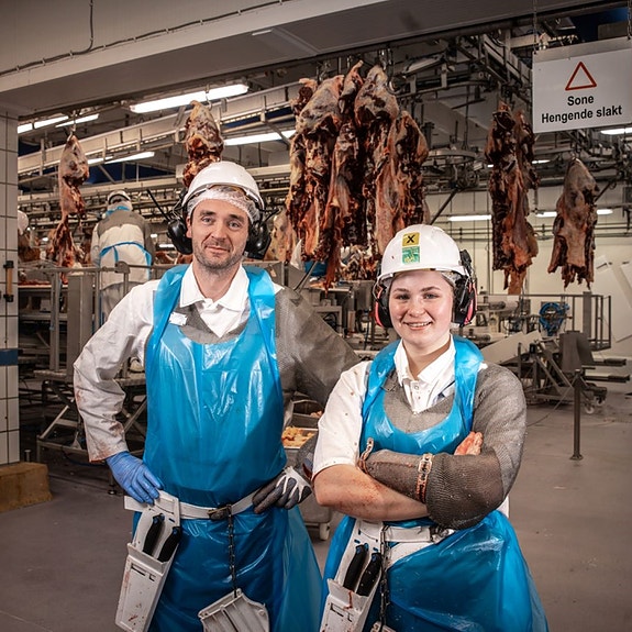 Bilde 1 av 2 i jobbannonse-galleriet