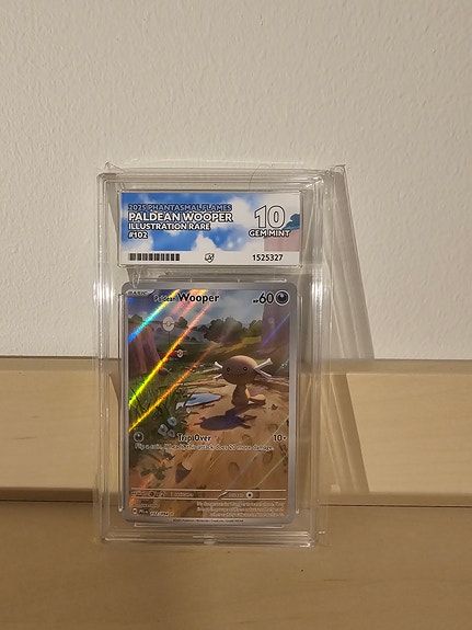 Pokémonkort - Paldean Wooper ACE 10
