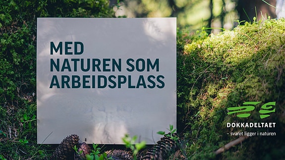 Bilde 1 av 3 i jobbannonse-galleriet