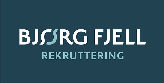 BJØRG FJELL AS AVD DRAMMEN logo