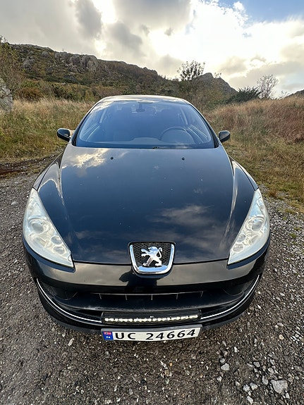 Peugeot 407