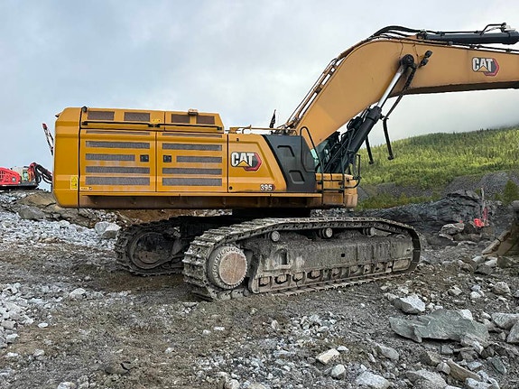 Cat 395 3 of 30