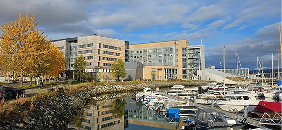 Bilde 2 av 3 i jobbannonse-galleriet