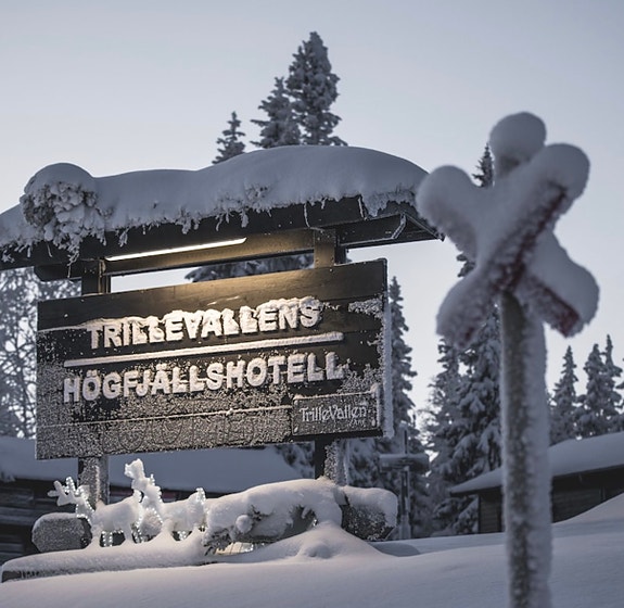 Dethleffs Camper 740 snow edition med spikertelt i Trillevallen 2 of 12