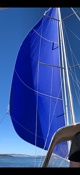 Flott 2019 mod. Dufour Grand Large 382 selges!  Pent holdt og lite brukt! 4 of 24