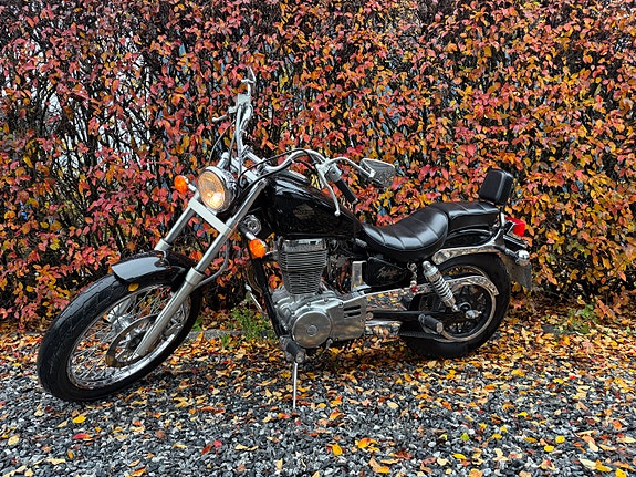 Suzuki LS 650 Savage 9 of 30
