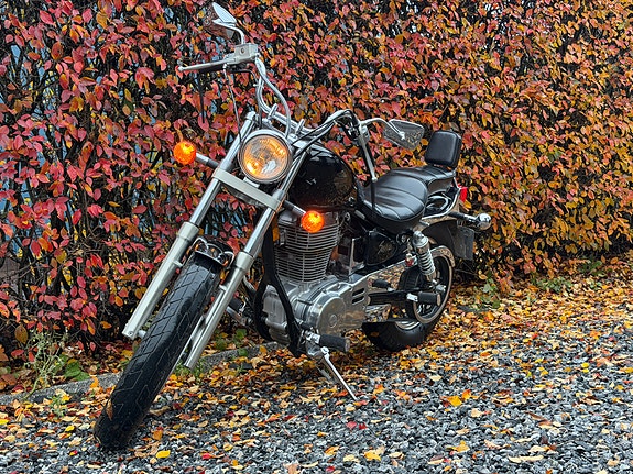 Suzuki LS 650 Savage 10 of 30