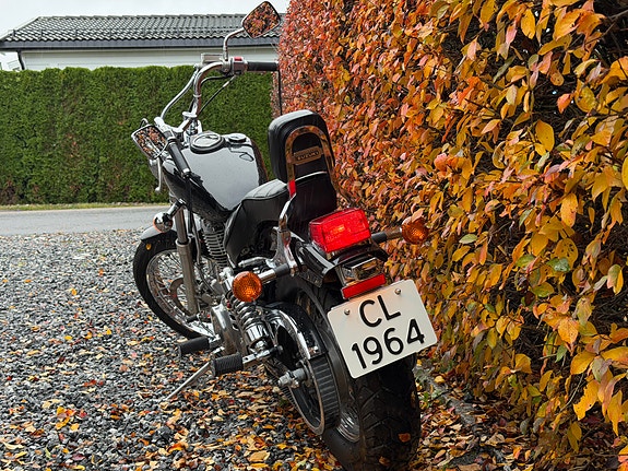 Suzuki LS 650 Savage 11 of 30