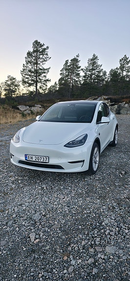 Tesla Model Y 2 of 18