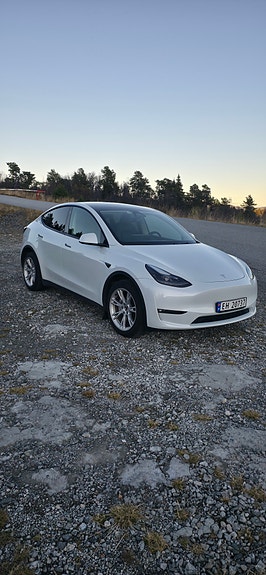 Tesla Model Y 4 of 18