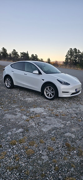 Tesla Model Y 5 of 18