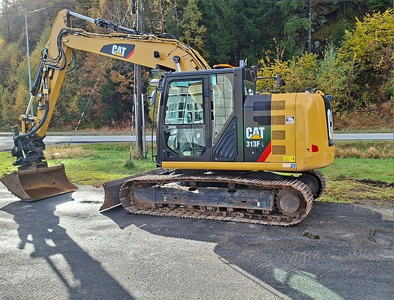 Cat 313FL 2 of 15